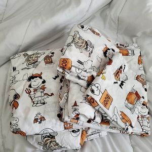 Pottery Barn Halloween Peanut sheet set full